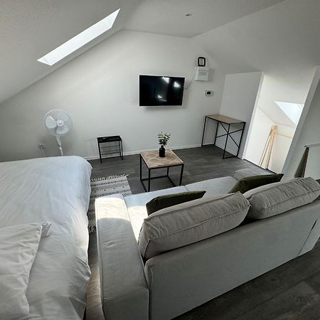 Studio Eucalyptus Charmant Elegant Et Fonctionnel Centre Ville Mulhouse Buitenkant foto